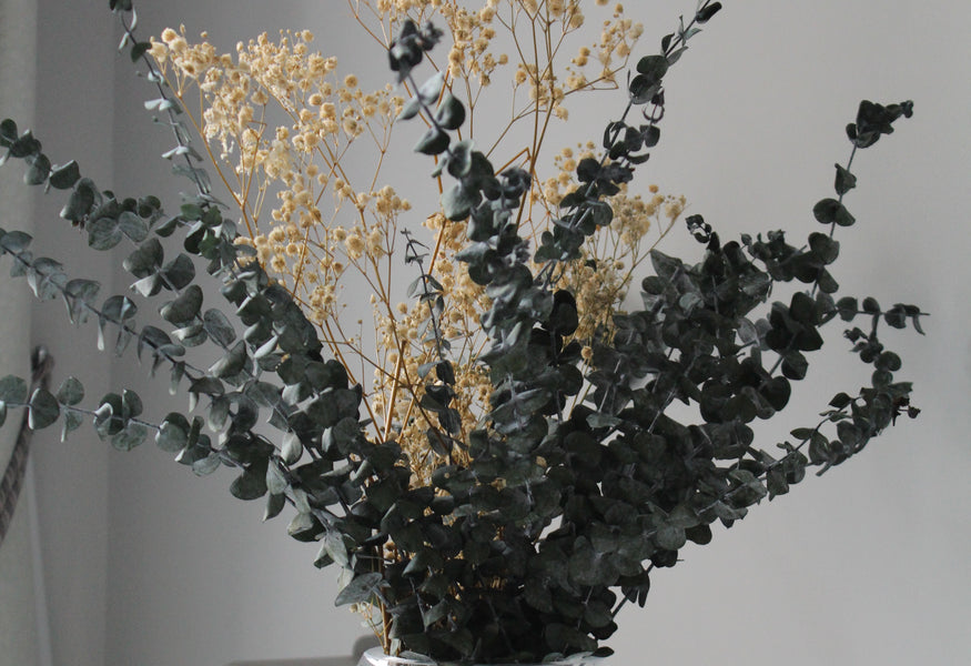 How to Decorate an Office with Preserved Plants