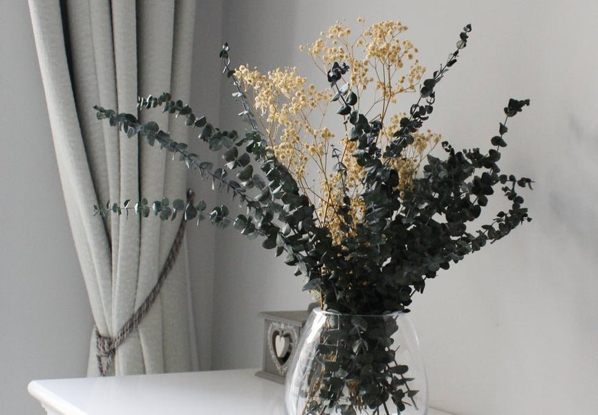 What Does Eucalyptus Symbolise?
