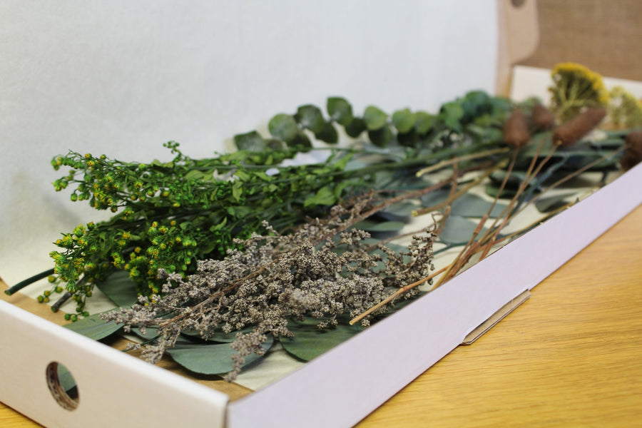 Benefits of Letterbox Flowers