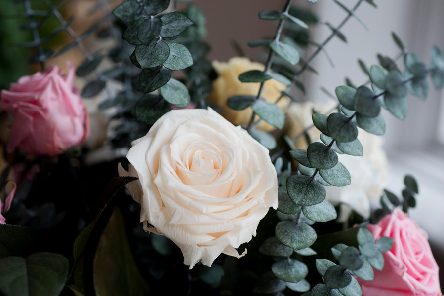 The Meanings Behind Traditional Mother’s Day Flowers