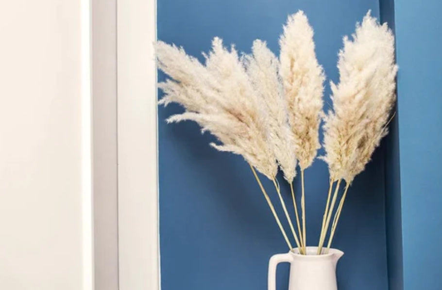 Dried Pampas Grass: Top Home DƩcor Trend