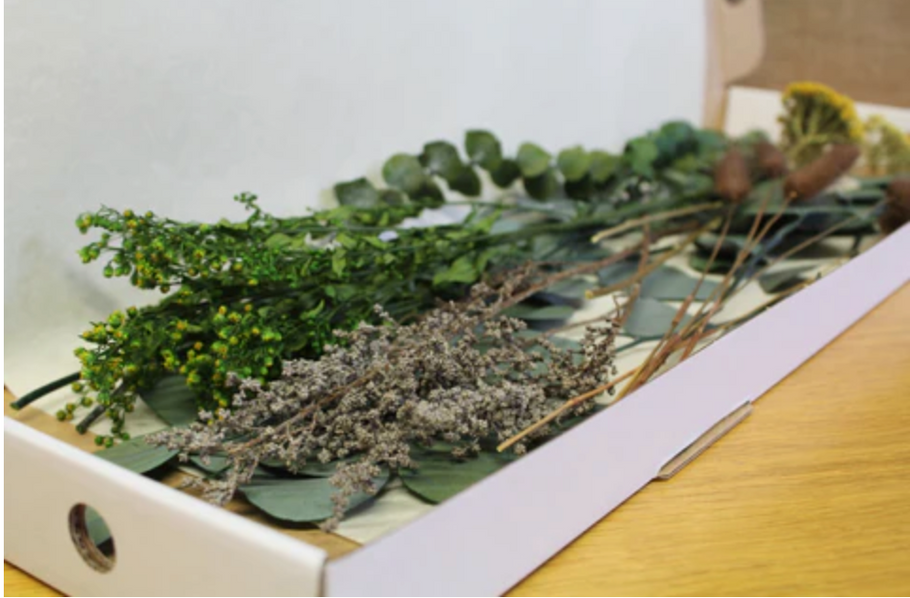 What Are Letterbox Flowers?