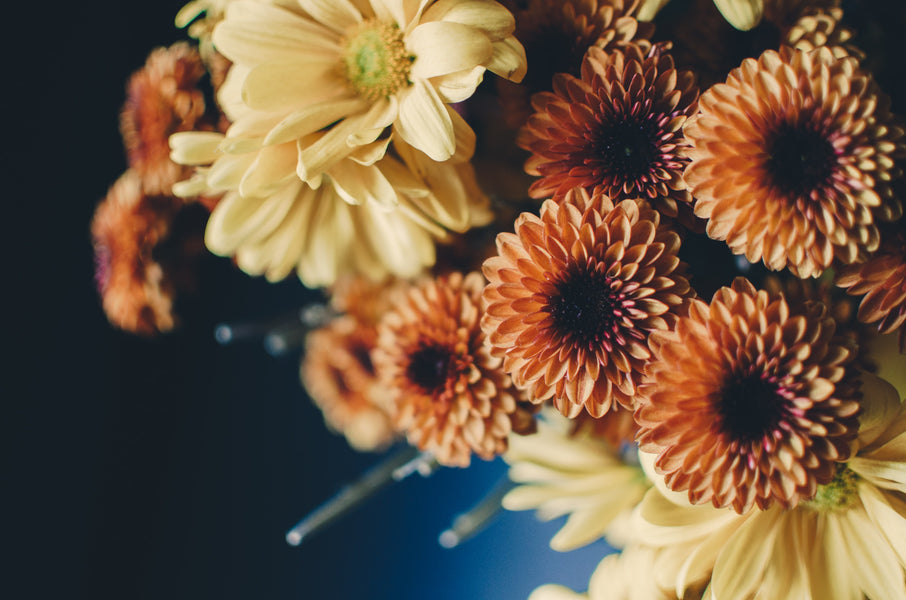What Autumnal Flowers Should You Put in Your Bespoke Flower Arrangements?