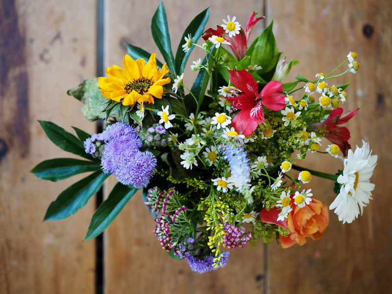 What Flower Symbolises New Beginnings?