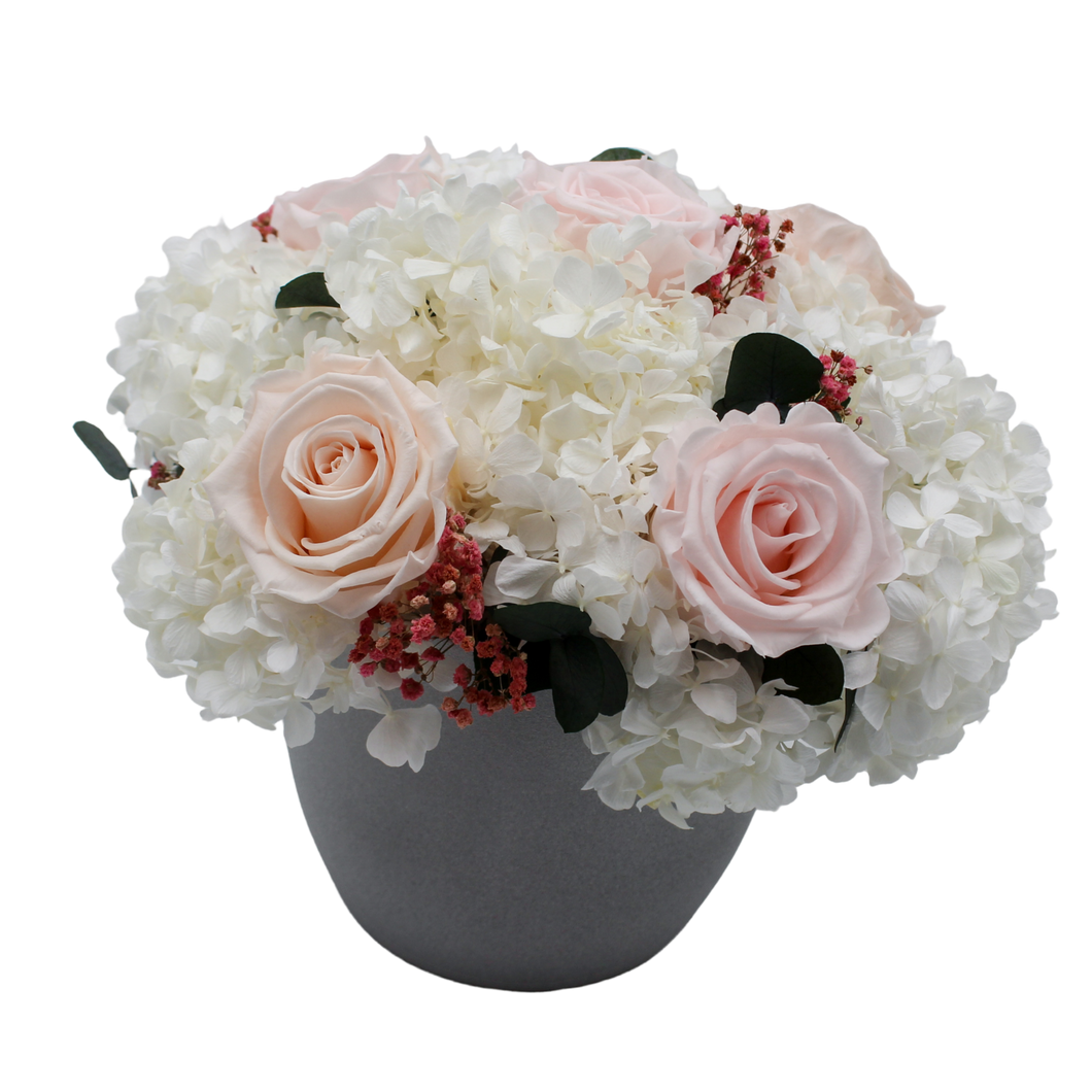 Coral Reef Arrangement