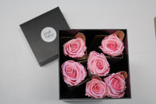 6 Premium Roses In Gift Box