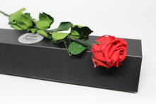 Presentation Rose in Gift Box