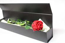 Presentation Rose in Gift Box