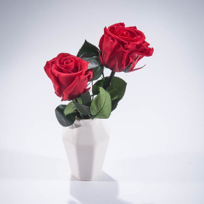 Double Magic Rose in Porcelain Vase