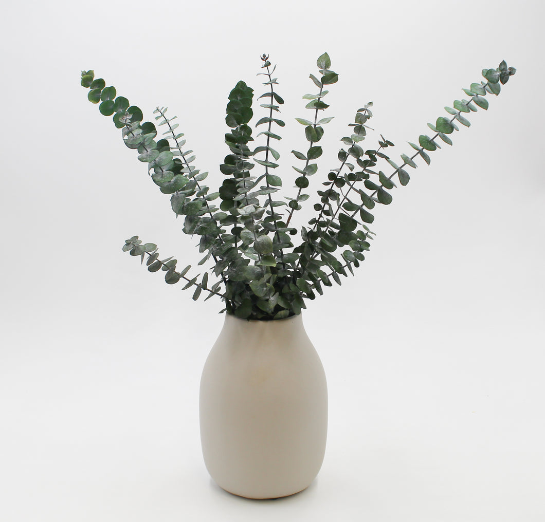 Eucalyptus Sprigs