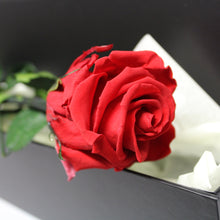 Presentation Rose in Gift Box
