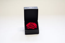 Large Rose Head in Gift Box