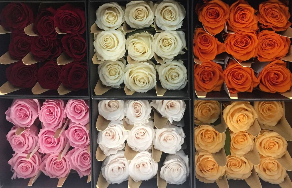 Real Roses Colours The Meaning of Rose Colours – Magic Flower Company