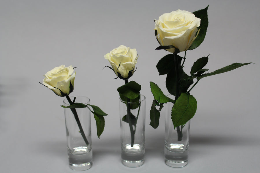 All the Ways to Always Arrange Flowers Well