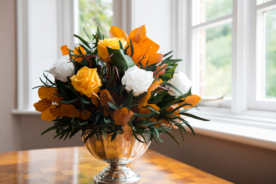 I'm Sorry Flowers & Arrangements