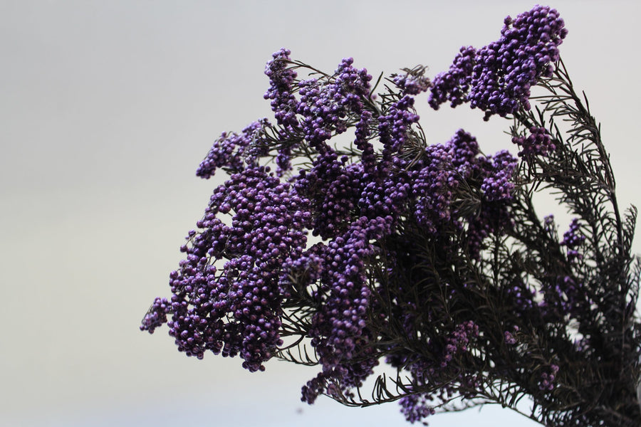 Summer Flower Wedding Trends