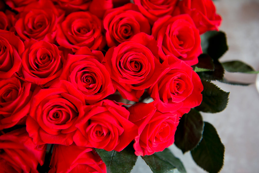 Red Roses: Their Meaning, Symbolism and History – Magic Flower Company