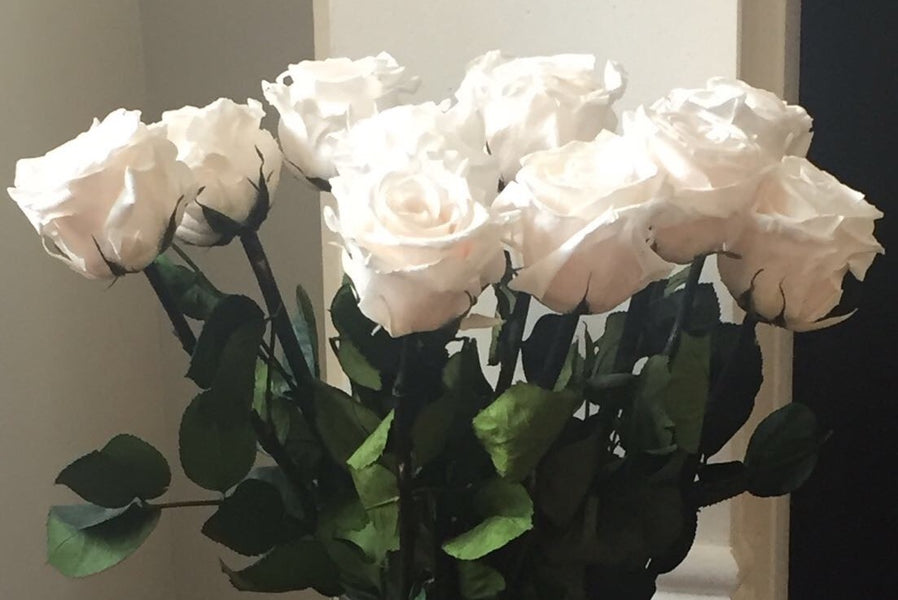 The Meaning of the White Rose