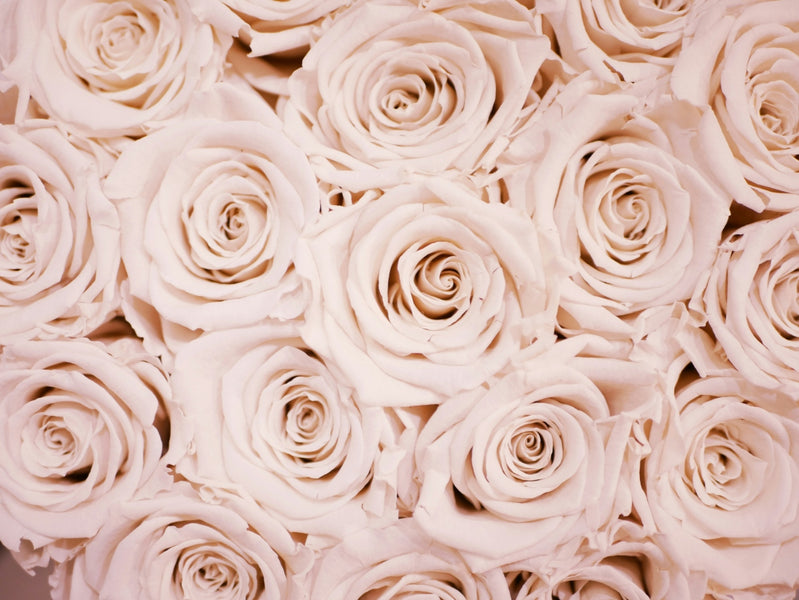 8 Ways Roses Can Elevate Your Décor This Summer