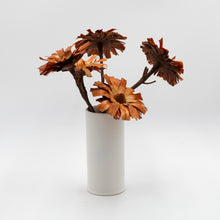 Brown Dried Protea Repens Flowers