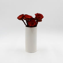 Red Rosette Protea Dried Flowers