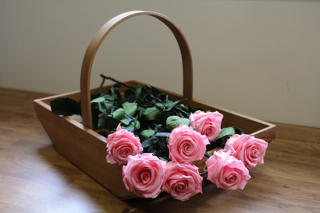 Candy Pink Premium Magic Rose – Magic Flower Company