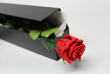 Presentation Rose in Gift Box