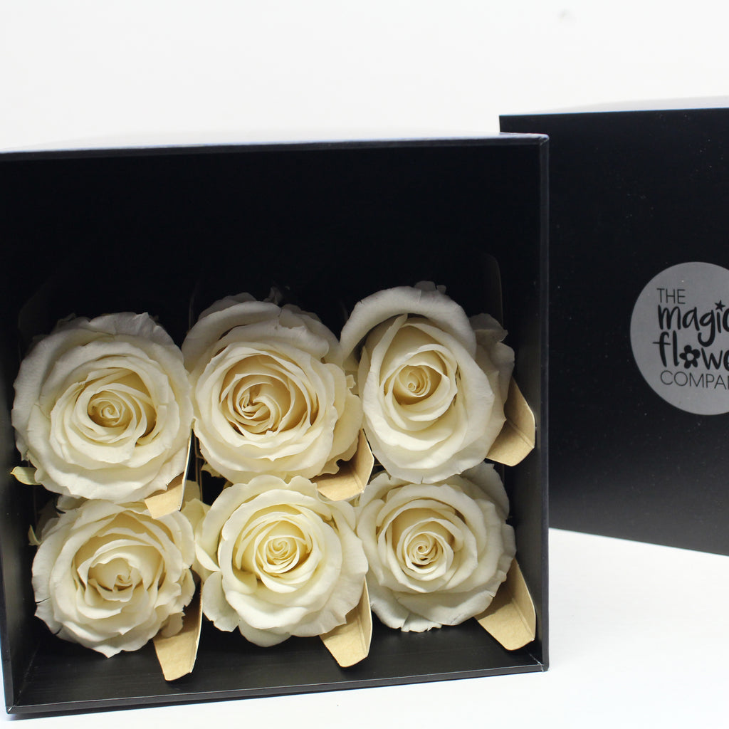 6 Premium Roses In Gift Box – Magic Flower Company