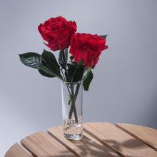 Double Magic Rose in sample vase