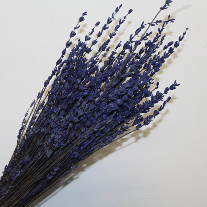 Lavender Sprigs