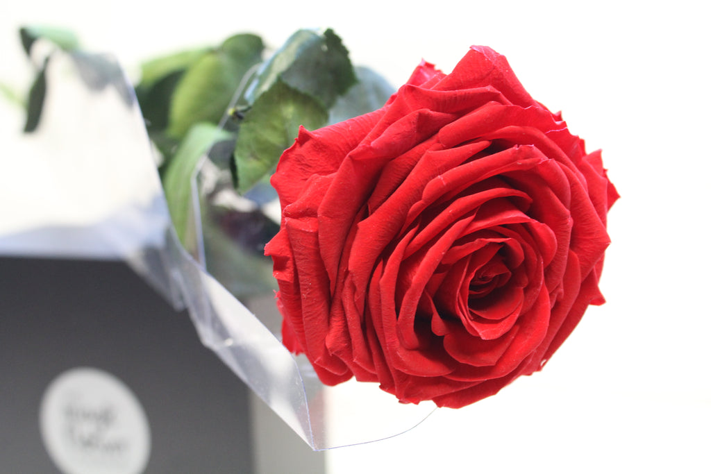Red Super Rose – Magic Flower Company