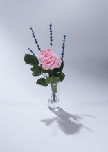 Single Magic Rose in sample vase