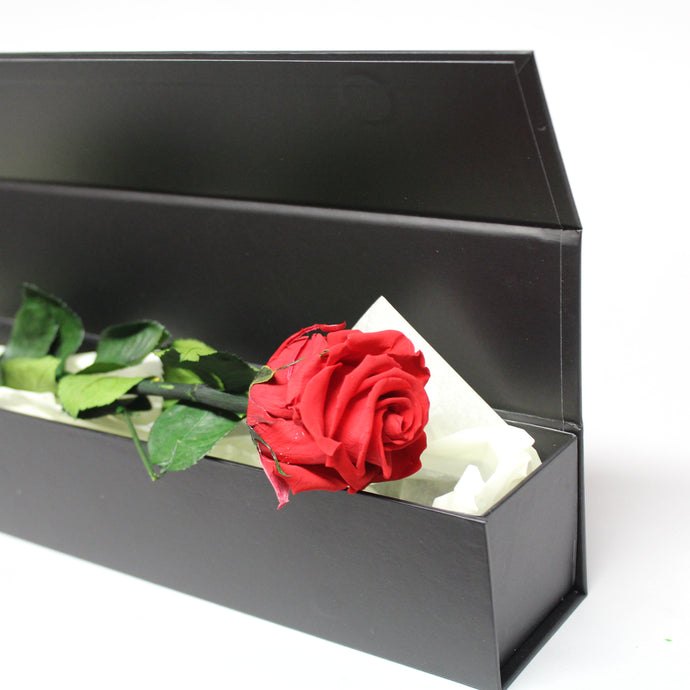Presentation Rose in Gift Box